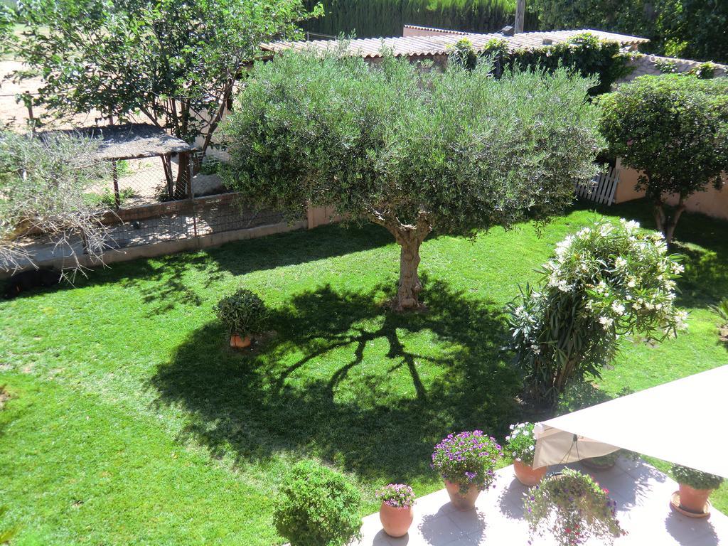 Casa Rural Hipica Mas Paguina L'Estartit Dış mekan fotoğraf
