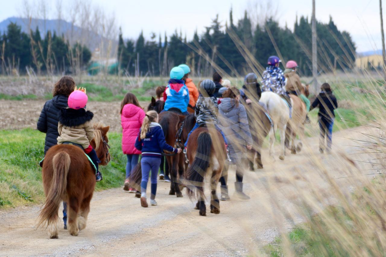 Casa Rural Hipica Mas Paguina L'Estartit Dış mekan fotoğraf