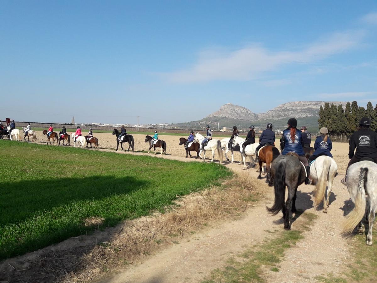 Casa Rural Hipica Mas Paguina L'Estartit Dış mekan fotoğraf