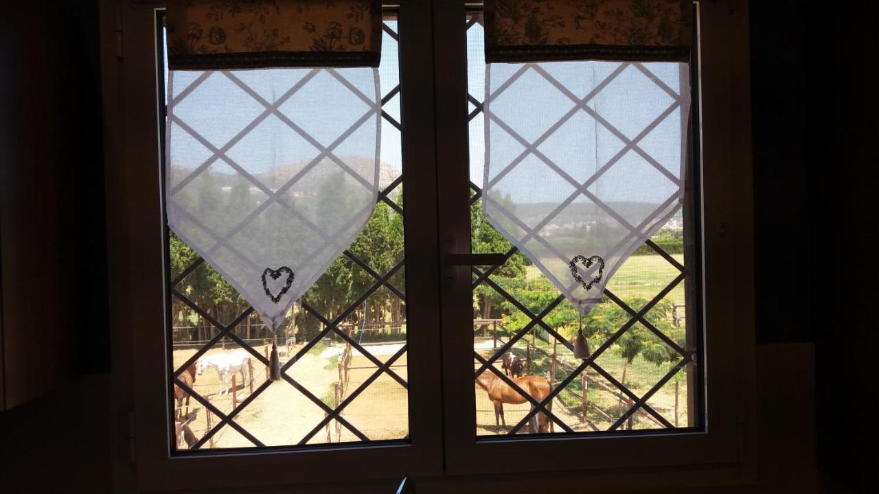 Casa Rural Hipica Mas Paguina L'Estartit Dış mekan fotoğraf