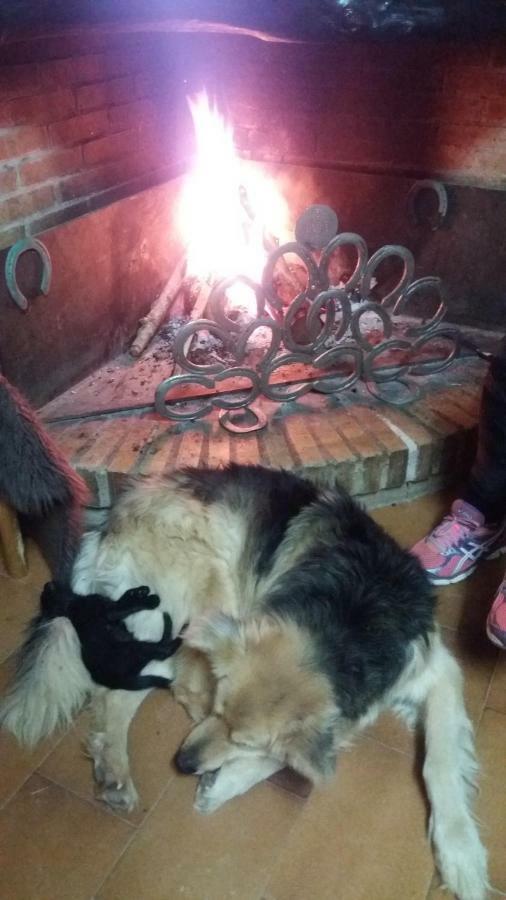 Casa Rural Hipica Mas Paguina L'Estartit Dış mekan fotoğraf